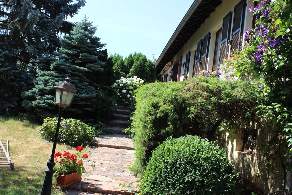 Apartment Route Du Vin Centre Alsace Orschwiller Zimmer foto